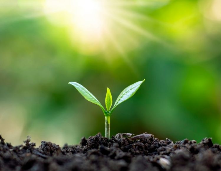 Toprak Düzenleyici Uygulama Desteği