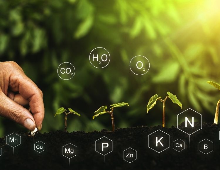 Organomineral Ürün Seçim Rehberliği